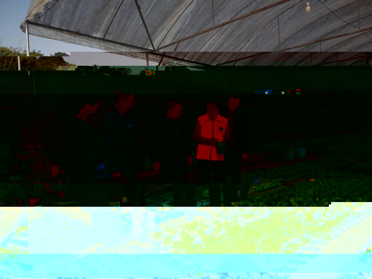 1511056618692000.jpg