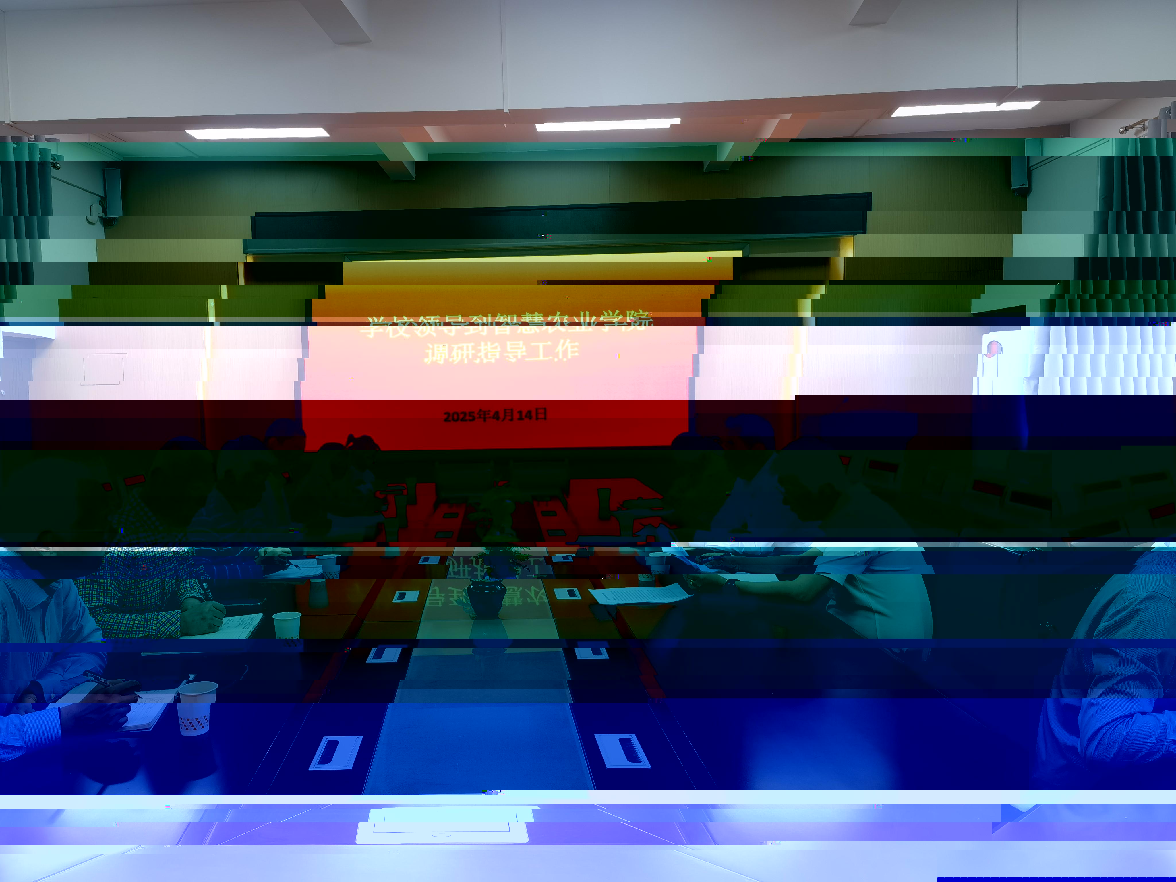 2126574738535029.jpg