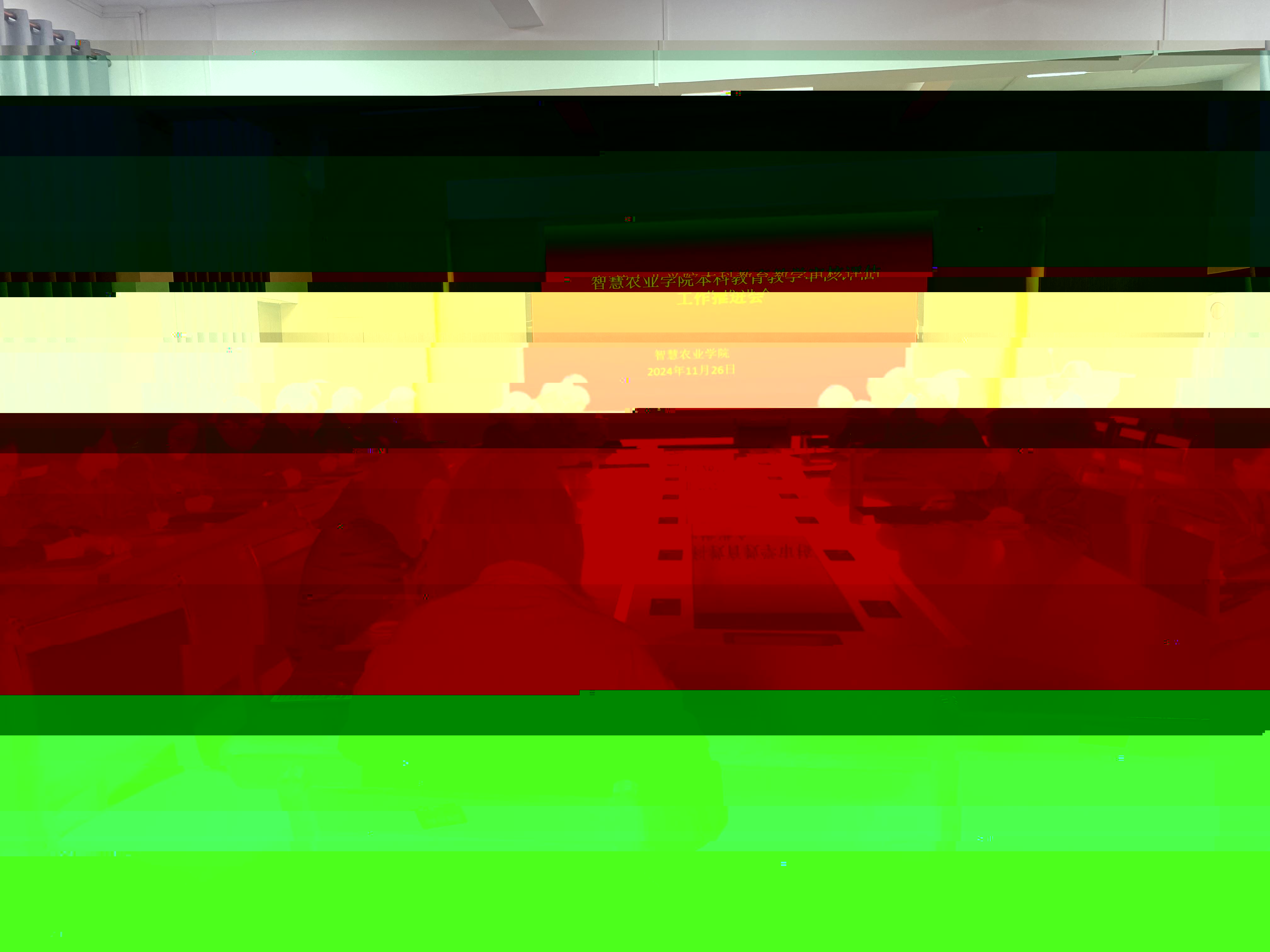 2226114705815150.jpg