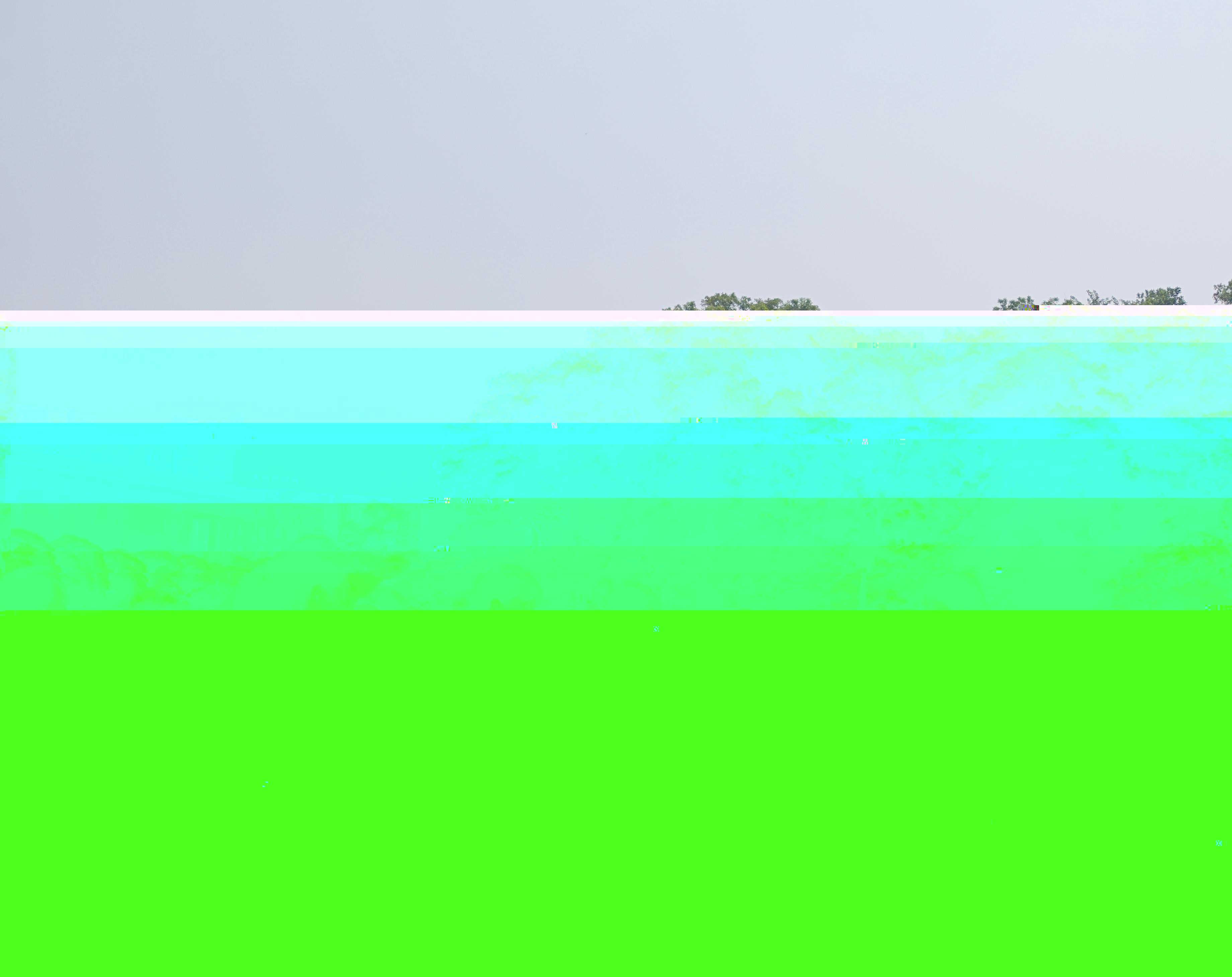 1832202961305574.jpg