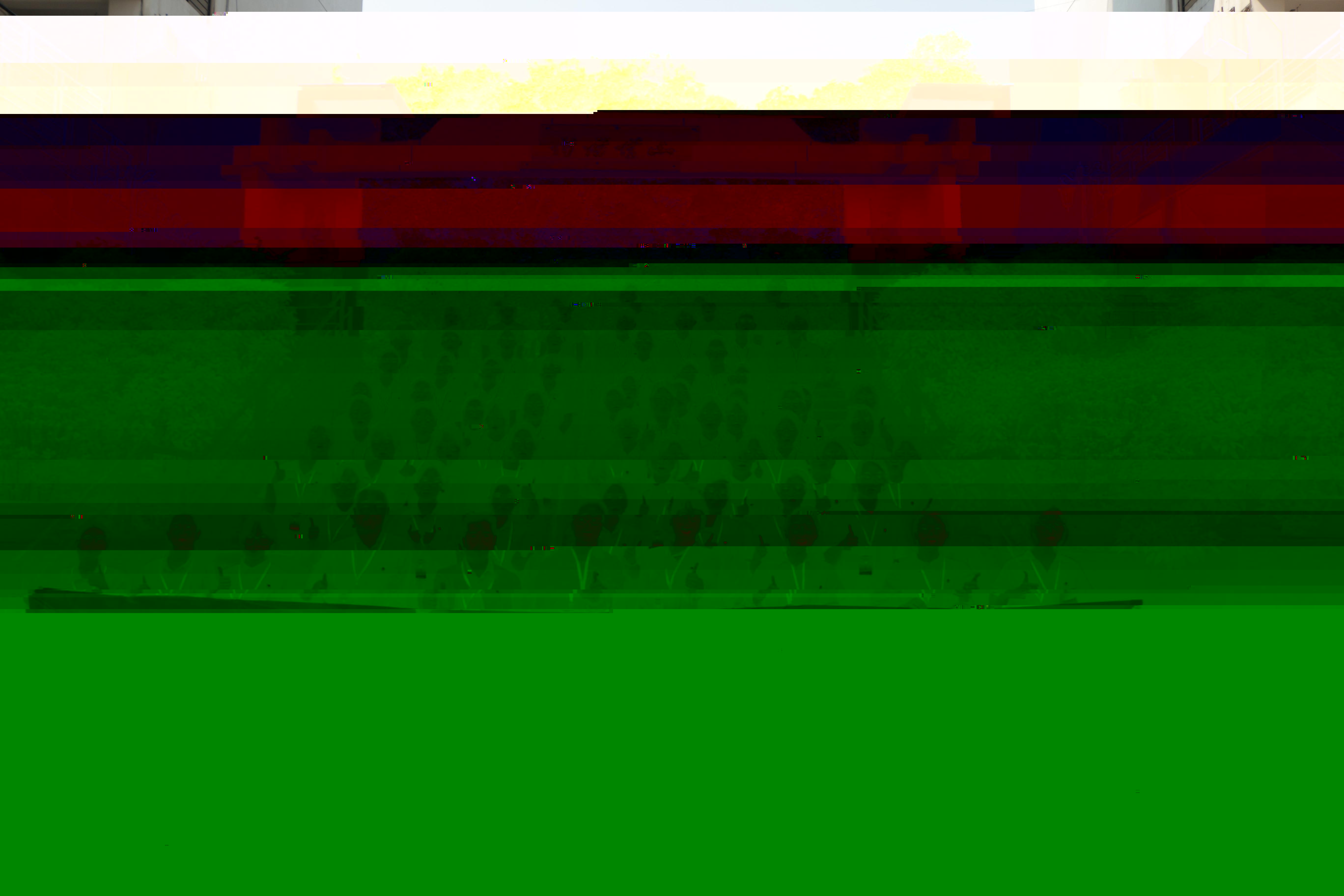 2227406845887148.jpg